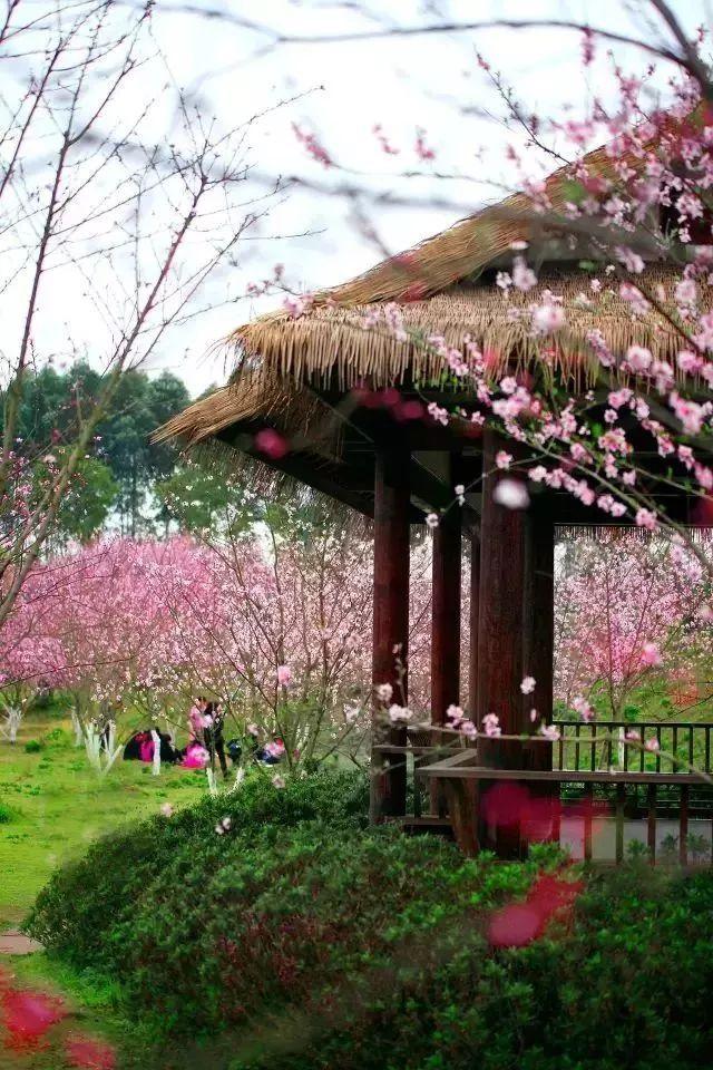 遮阳帐篷